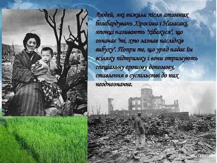 Людей, які вижили після атомних бомбардувань Хіросіми і Нагасакі, японці називають "хібакуся", що означає