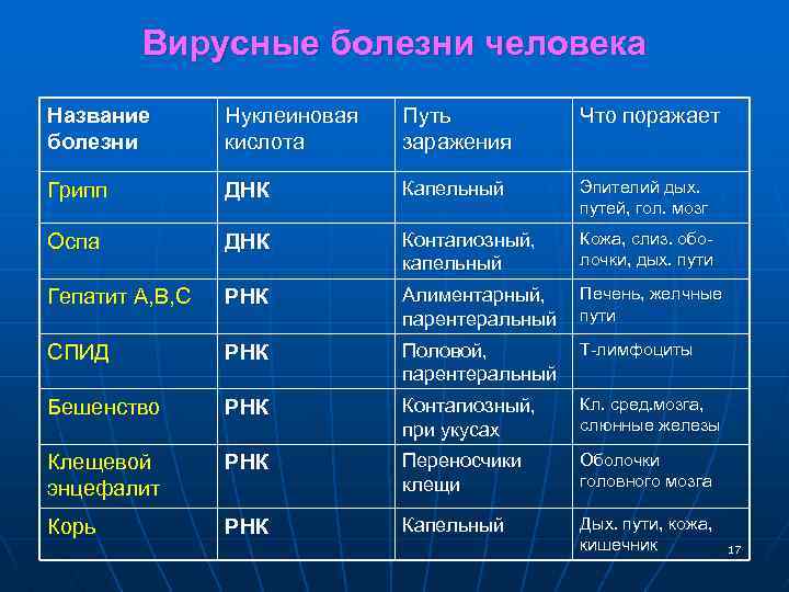 Вирусные болезни человека Название болезни Нуклеиновая кислота Путь заражения Что поражает Грипп ДНК Капельный