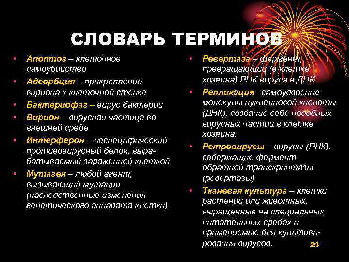 СЛОВАРЬ ТЕРМИНОВ • • • Апоптоз – клеточное самоубийство Адсорбция – прикрепление вириона к