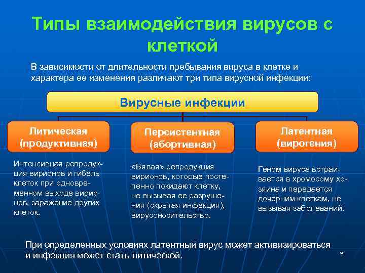 Типы взаимодействия вирусов с клеткой В зависимости от длительности пребывания вируса в клетке и