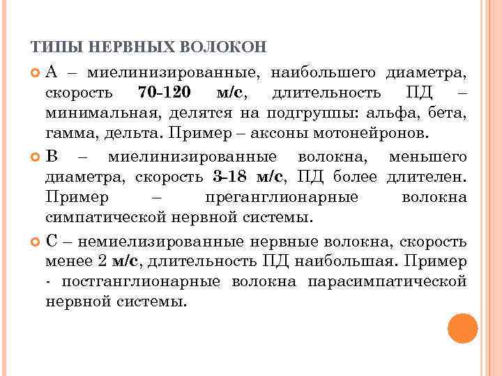 ТИПЫ НЕРВНЫХ ВОЛОКОН А – миелинизированные, наибольшего диаметра, скорость 70 -120 м/с, длительность ПД