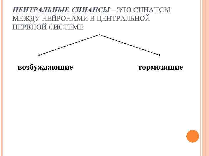 ЦЕНТРАЛЬНЫЕ СИНАПСЫ – ЭТО СИНАПСЫ МЕЖДУ НЕЙРОНАМИ В ЦЕНТРАЛЬНОЙ НЕРВНОЙ СИСТЕМЕ возбуждающие тормозящие 