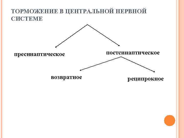 ТОРМОЖЕНИЕ В ЦЕНТРАЛЬНОЙ НЕРВНОЙ СИСТЕМЕ пресинаптическое возвратное постсинаптическое реципрокное 