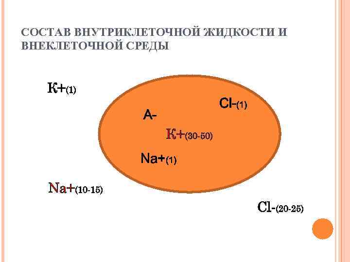 Внеклеточная жидкость это