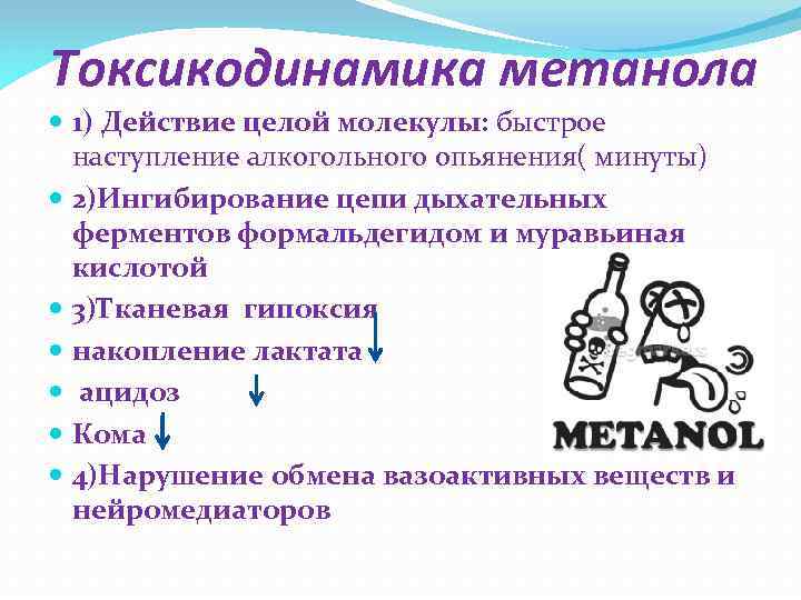 Токсикодинамика метанола 1) Действие целой молекулы: быстрое наступление алкогольного опьянения( минуты) 2)Ингибирование цепи дыхательных