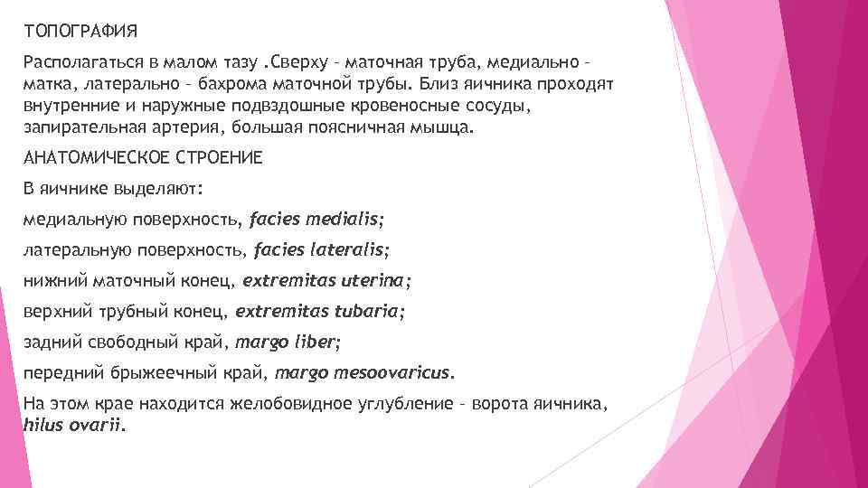 ТОПОГРАФИЯ Располагаться в малом тазу. Сверху – маточная труба, медиально – матка, латерально –