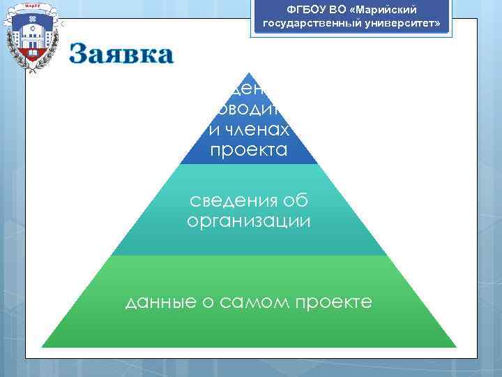 ФГБОУ ВО «Марийский государственный университет» Заявка сведения о руководителе и членах проекта сведения об