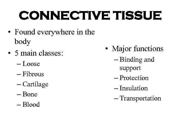 CONNECTIVE TISSUE • Found everywhere in the body • 5 main classes: – Loose