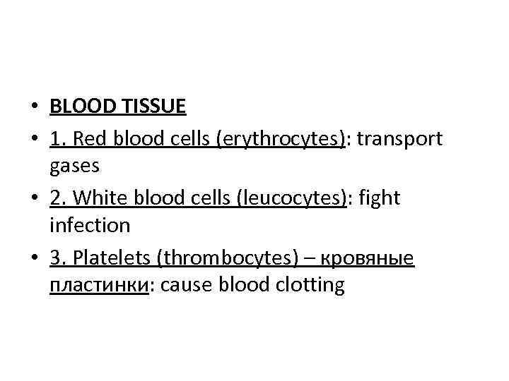  • BLOOD TISSUE • 1. Red blood cells (erythrocytes): transport gases • 2.
