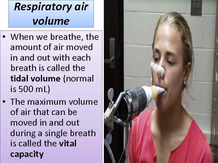 Respiratory air volume • When we breathe, the amount of air moved in and