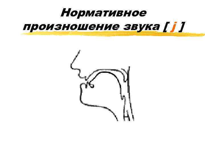 Нормативное произношение звука [ j ] 