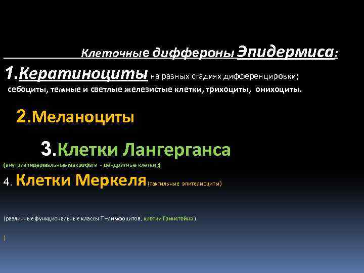 Клеточные диффероны Эпидермиса: 1. Кератиноциты на разных стадиях дифференцировки; себоциты, темные и светлые железистые