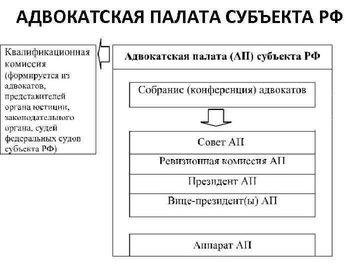 АДВОКАТСКАЯ ПАЛАТА СУБЪЕКТА РФ 17 