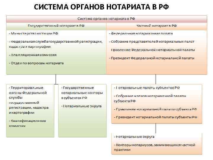 СИСТЕМА ОРГАНОВ НОТАРИАТА В РФ 21 