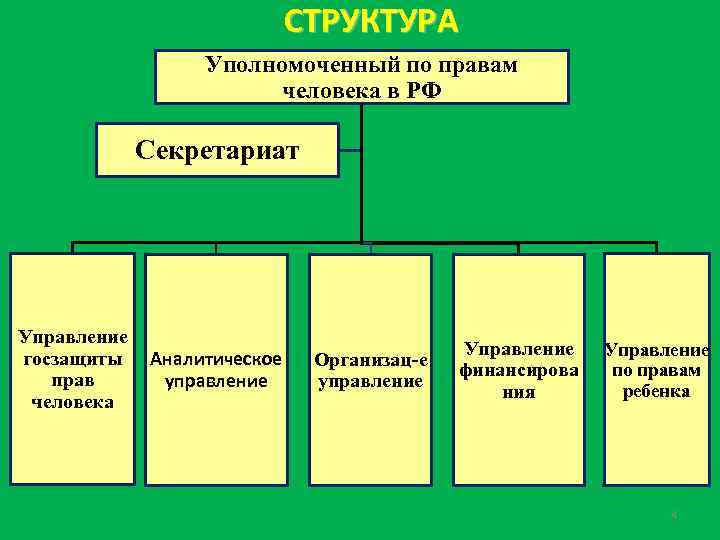 Институт уполномоченного по правам человека в рф презентация