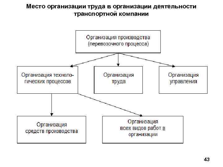 Место организации труда в организации деятельности транспортной компании 43 