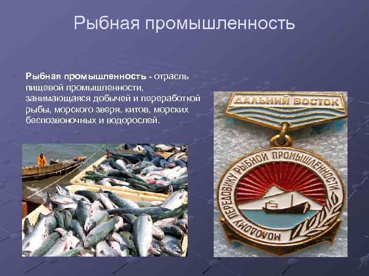 Рыбная промышленность - отрасль пищевой промышленности, занимающаяся добычей и переработкой рыбы, морского зверя, китов,