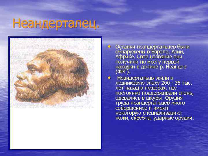 Неандерталец. • Останки неандертальцев были • обнаружены в Европе, Азии, Африке. Свое название они