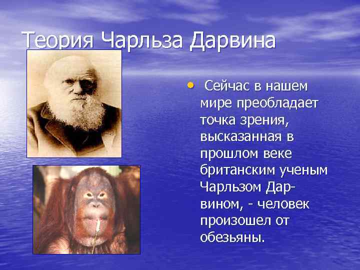 Теория Чарльза Дарвина • Сейчас в нашем мире преобладает точка зрения, высказанная в прошлом