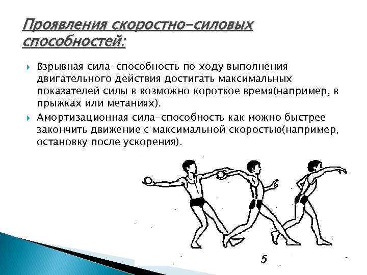 Сила силовые способности