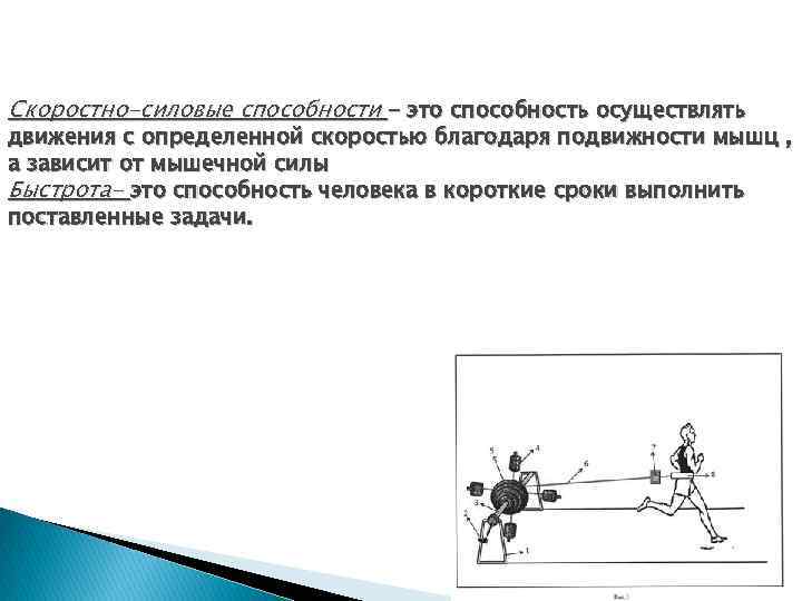 Скоростно-силовые способности - это способность осуществлять движения с определенной скоростью благодаря подвижности мышц ,