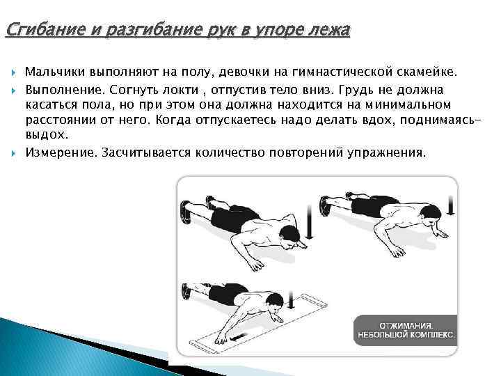 Сгибание и разгибание рук в упоре лежа Мальчики выполняют на полу, девочки на гимнастической