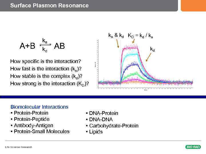 Surface Plasmon Resonance ka & kd KD = kd / ka kd How specific