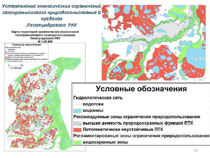 Установление экологических ограничений газопромыслового природопользования в пределах Лесотундрового РКУ 17 
