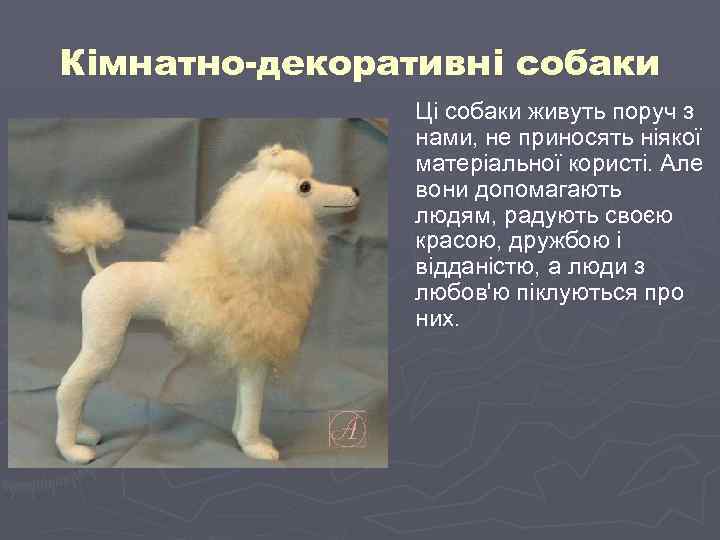 Кімнатно-декоративні собаки Ці собаки живуть поруч з нами, не приносять ніякої матеріальної користі. Але