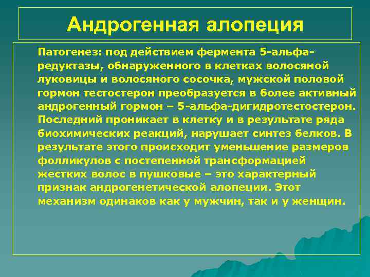Андрогенная алопеция Патогенез: под действием фермента 5 -альфаредуктазы, обнаруженного в клетках волосяной луковицы и