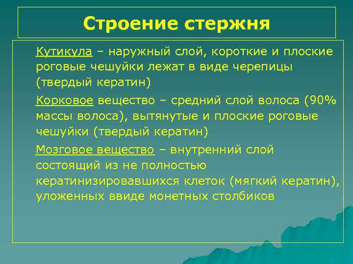 Строение стержня Кутикула – наружный слой, короткие и плоские роговые чешуйки лежат в виде