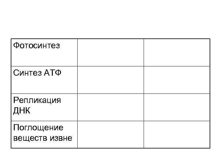 Фотосинтез Синтез АТФ Репликация ДНК Поглощение веществ извне 
