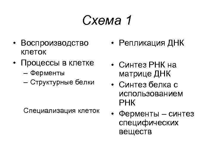 Схема 1 • Воспроизводство клеток • Процессы в клетке – Ферменты – Структурные белки