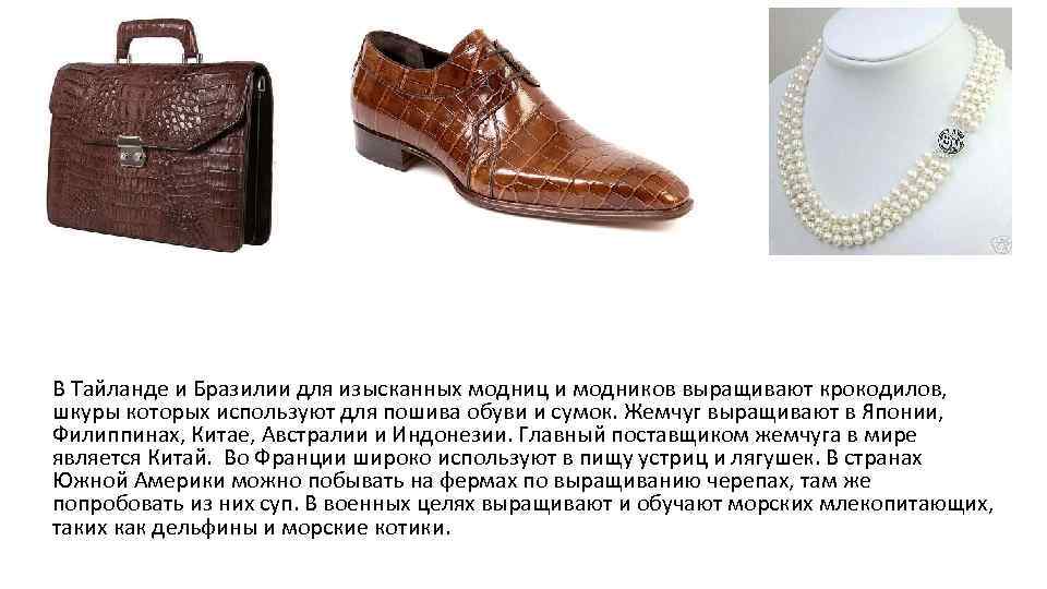 В Тайланде и Бразилии для изысканных модниц и модников выращивают крокодилов, шкуры которых используют