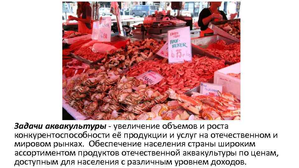 Задачи аквакультуры - увеличение объемов и роста конкурентоспособности её продукции и услуг на отечественном