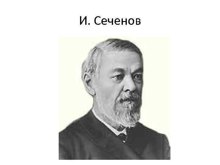 И. Сеченов 