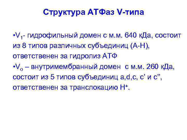 Структура АТФаз V-типа • V 1 - гидрофильный домен с м. м. 640 к.