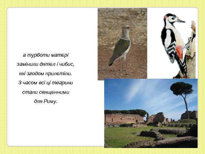 а турботи матері замінили дятел і чибис, які згодом прилетіли. З часом всі ці