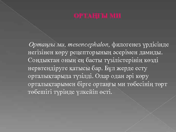 ОРТАҢҒЫ МИ Ортаңғы ми, mesencephalon, филогенез үрдісінде негізінен көру рецепторының әсерімен дамиды. Сондыктан оның