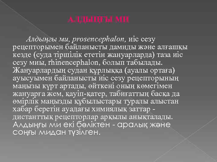 АЛДЫҢҒЫ МИ Алдыңгы ми, prosencephalon, иіс сезу рецепторымен байланысты дамиды және алғашқы кезде (суда