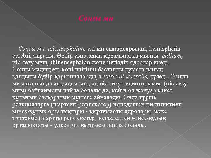 Соңғы ми Соңгы ми, telencephalon, екі ми сыңарларынан, hemispheria cerebri, тұрады. Әрбір сыңардың құрамына