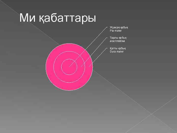 Ми қабаттары Жұмсақ қабық Pia mater Торлы қабық arachnoidea Қатты қабық Dura mater 