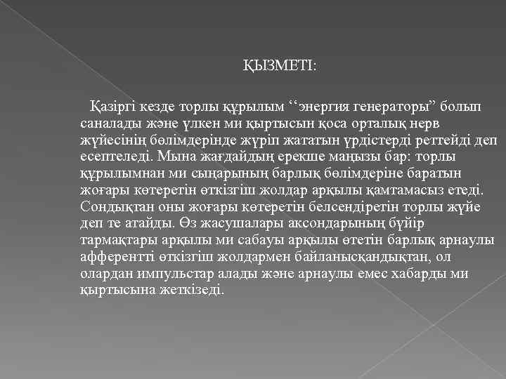 ҚЫЗМЕТІ: Қазіргі кезде торлы құрылым ‘‘энергия генераторы” болып саналады және үлкен ми қыртысын қоса