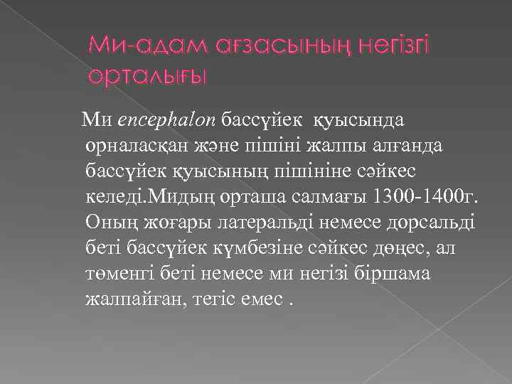Ми-адам ағзасының негізгі орталығы Ми encephalon бассүйек қуысында орналасқан және пішіні жалпы алғанда бассүйек