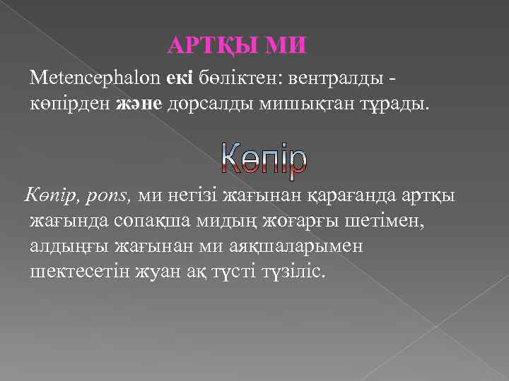 АРТҚЫ МИ Metencephalon екі бөліктен: вентралды көпірден және дорсалды мишықтан тұрады. Көпір, pons, ми