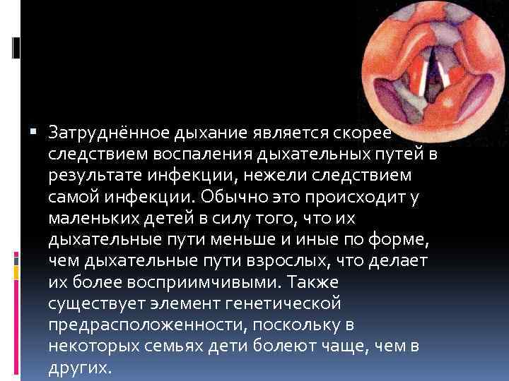  Затруднённое дыхание является скорее следствием воспаления дыхательных путей в результате инфекции, нежели следствием