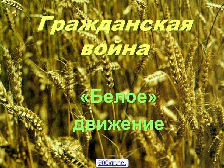 Гражданская война «Белое» движение 900 igr. net 