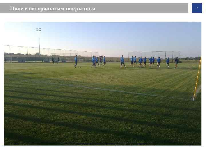 Поле с натуральным покрытием 7 
