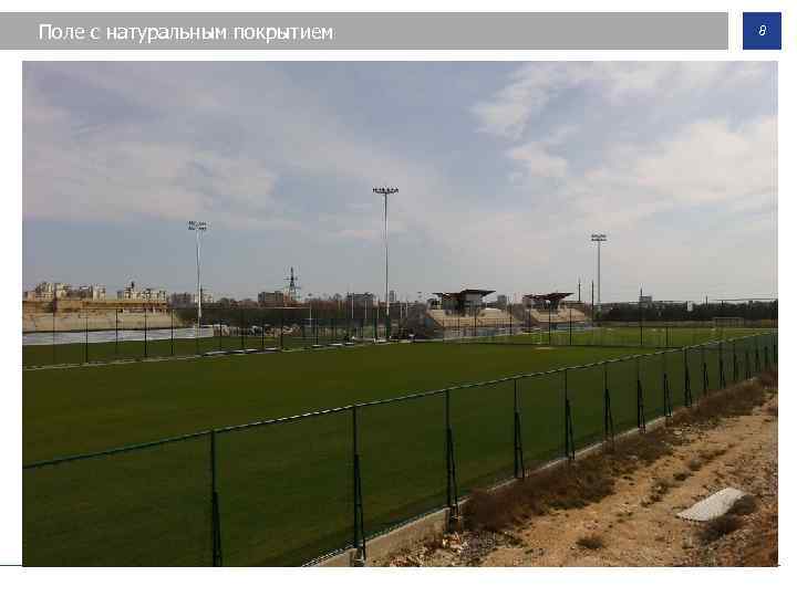 Поле с натуральным покрытием 8 