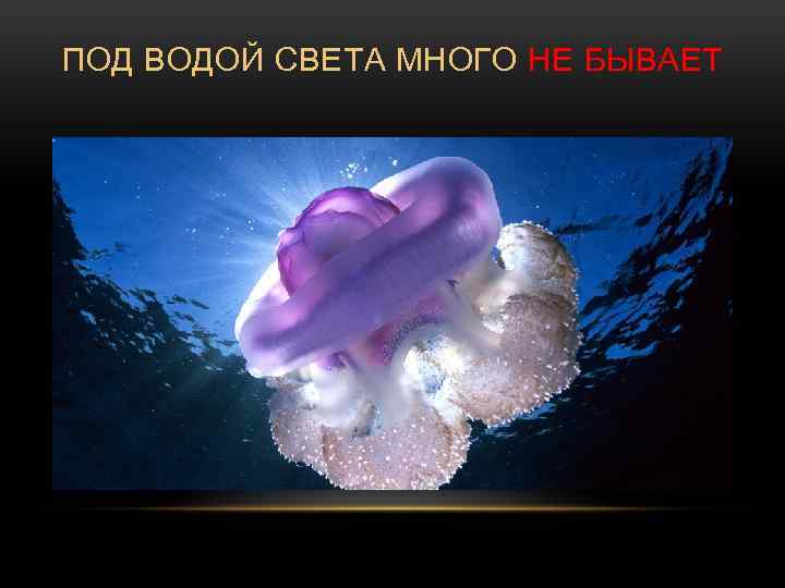 ПОД ВОДОЙ СВЕТА МНОГО НЕ БЫВАЕТ 